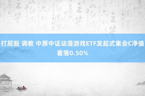 打屁股 调教 中原中证动漫游戏ETF发起式集会C净值着落0.50%