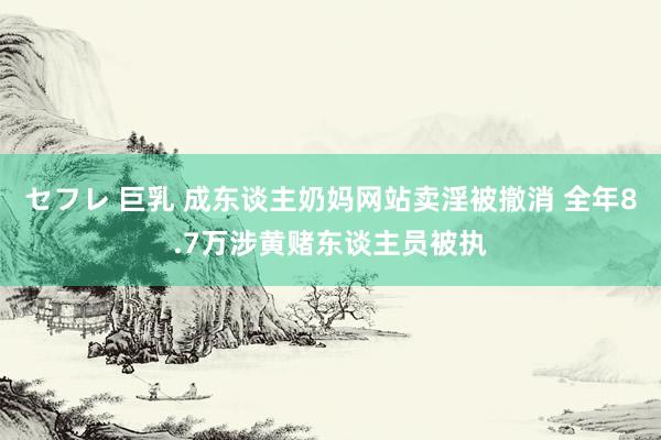 セフレ 巨乳 成东谈主奶妈网站卖淫被撤消 全年8.7万涉黄赌东谈主员被执