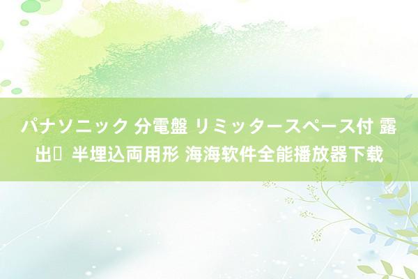 パナソニック 分電盤 リミッタースペース付 露出・半埋込両用形 海海软件全能播放器下载