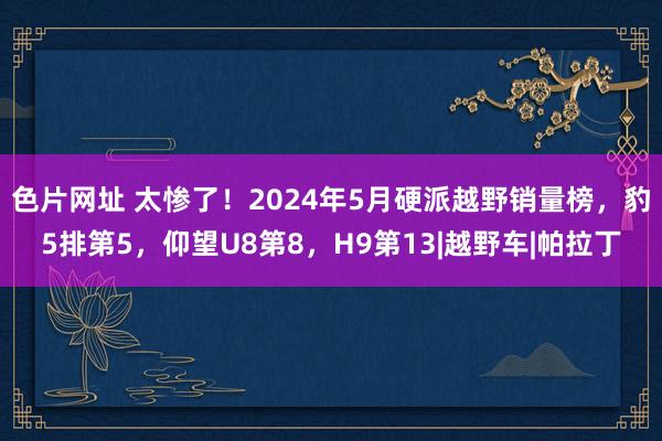 色片网址 太惨了！2024年5月硬派越野销量榜，豹5排第5，仰望U8第8，H9第13|越野车|帕拉丁