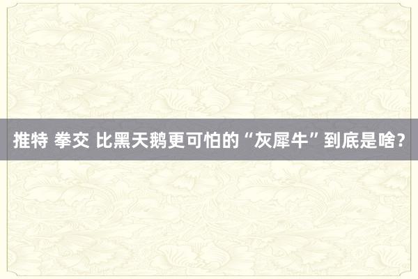 推特 拳交 比黑天鹅更可怕的“灰犀牛”到底是啥？