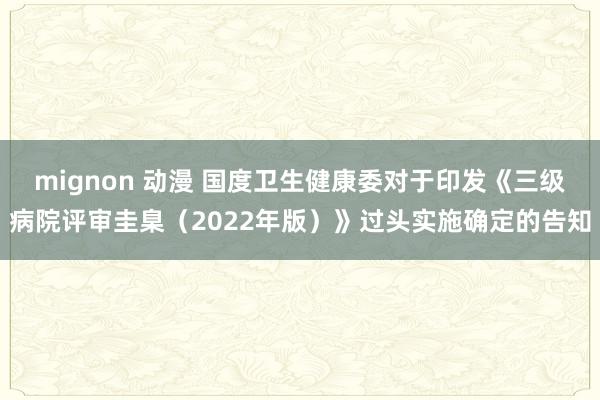 mignon 动漫 国度卫生健康委对于印发《三级病院评审圭臬（2022年版）》过头实施确定的告知