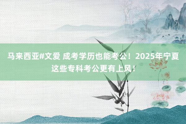 马来西亚#文爱 成考学历也能考公！2025年宁夏这些专科考公更有上风！