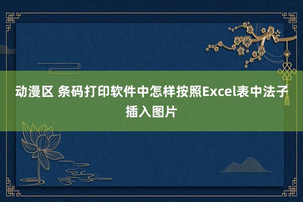 动漫区 条码打印软件中怎样按照Excel表中法子插入图片