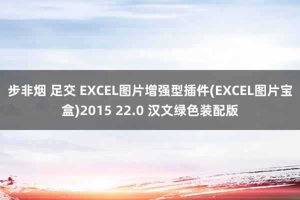 步非烟 足交 EXCEL图片增强型插件(EXCEL图片宝盒)2015 22.0 汉文绿色装配版